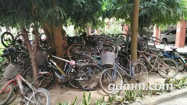 ΢��ͼƬ_20180105183339-05.jpg