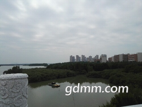 IMG_20171217_114248.jpg
