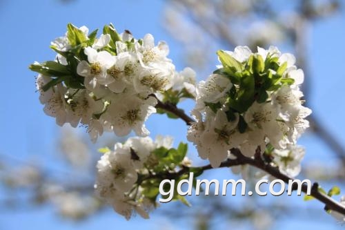 u=139043405,3974471698&amp;fm=27&amp;gp=0.jpg