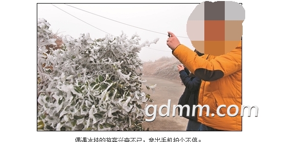 ���鱱.jpg