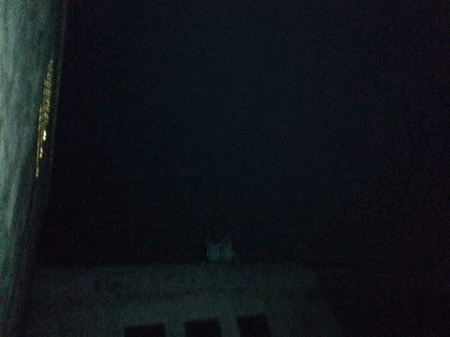 1517403561398_.jpg