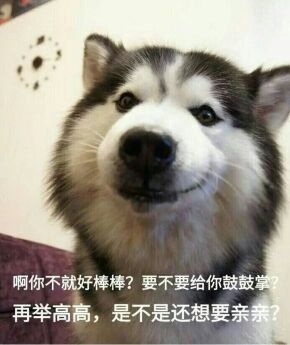 1518401465501_.jpg