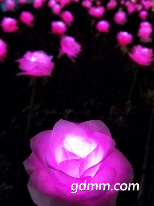 IMG20180211213807_.jpg