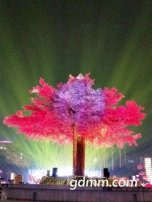 IMG20180211215313_.jpg