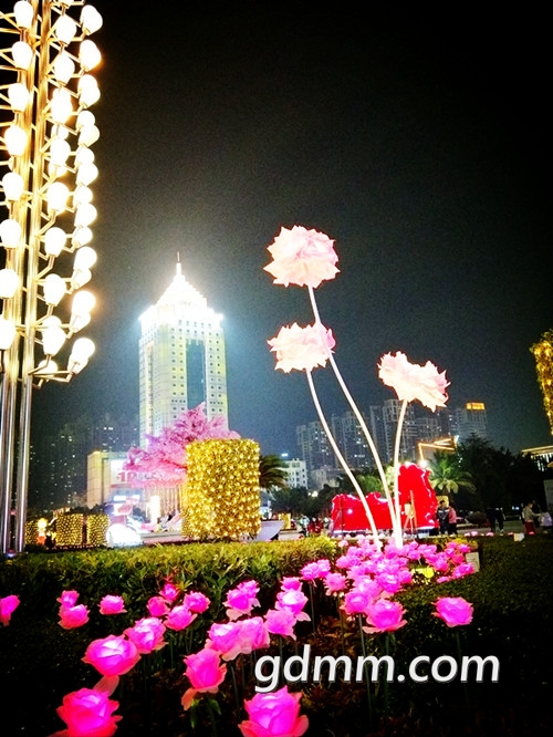 IMG20180211221516_.jpg