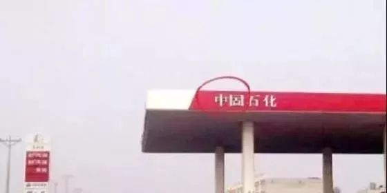 1519733548546_.jpg