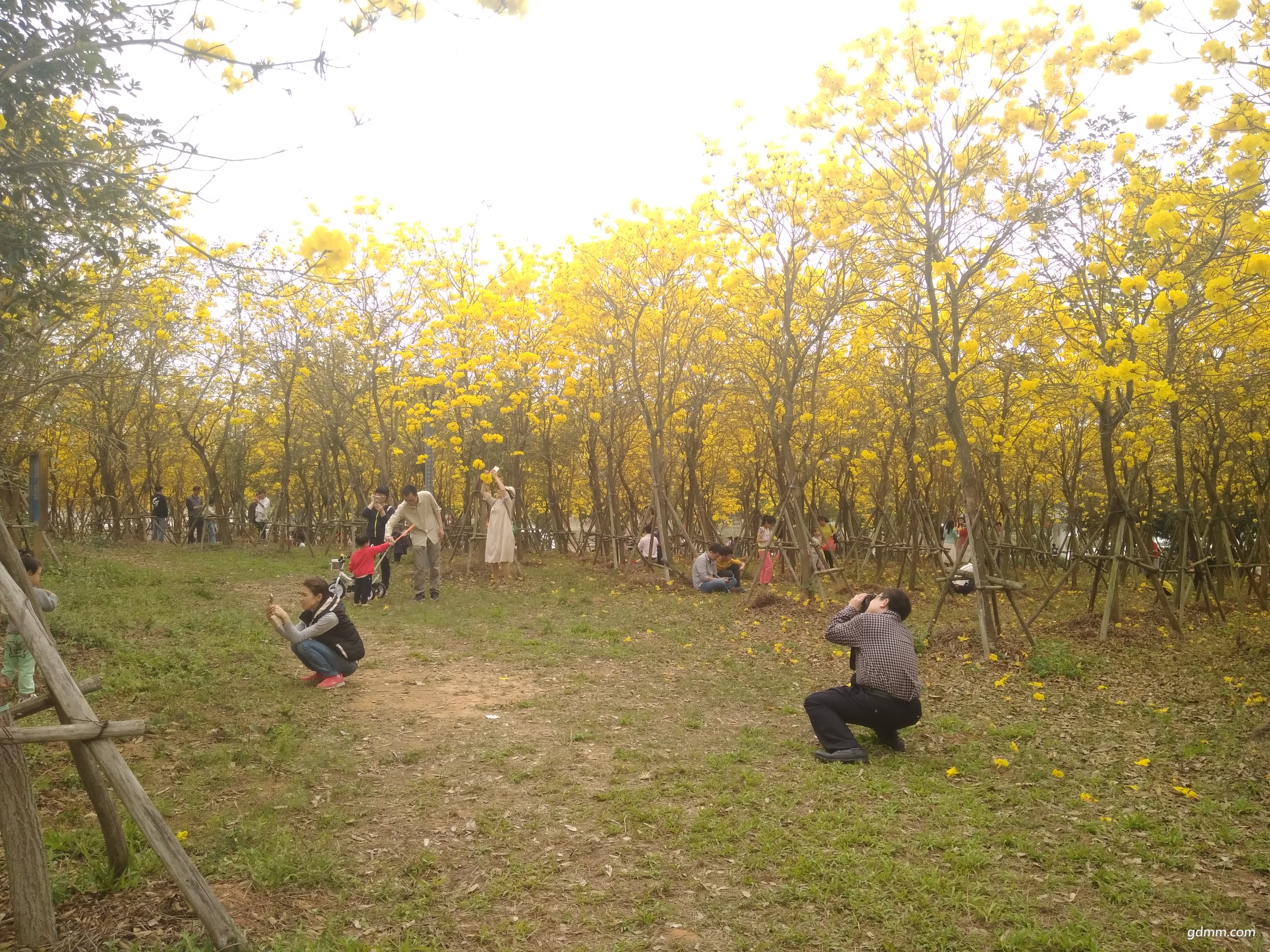 IMG_20180304_121601.jpg