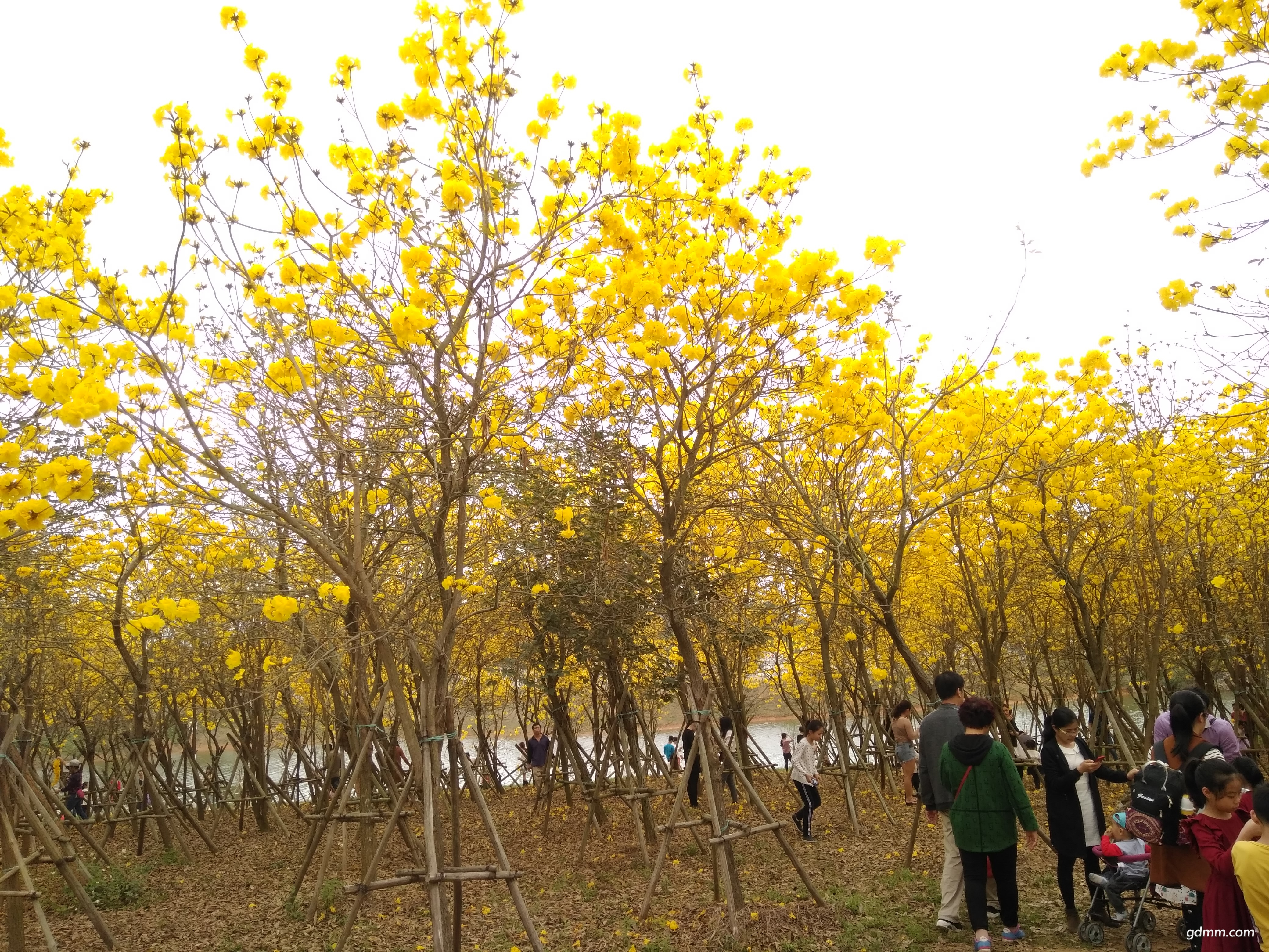 IMG_20180304_120917.jpg