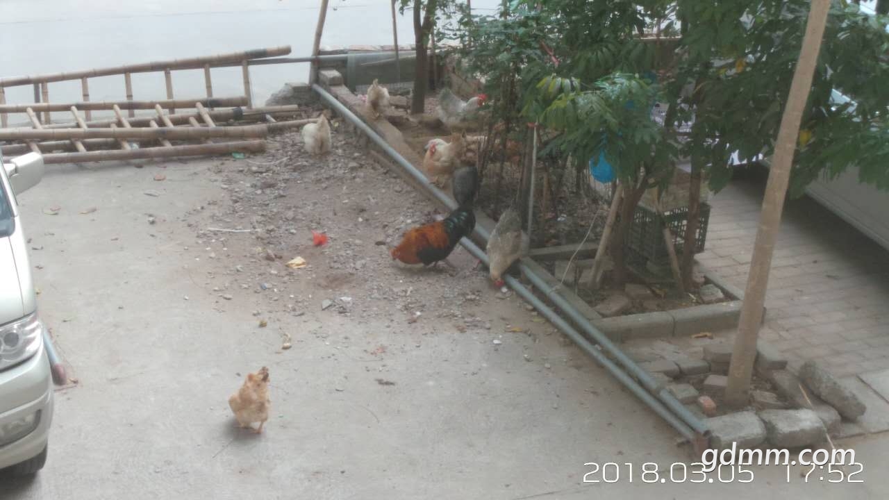 ΢��ͼƬ_20180305185929.jpg
