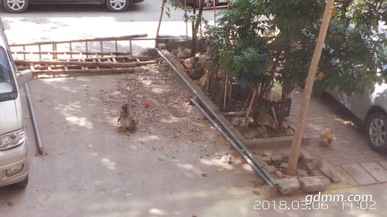 ΢��ͼƬ_20180306110634.jpg