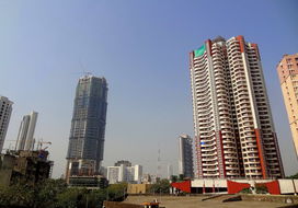 74d5cabf6c81800afbd8a410b63533fa828b4778.jpg