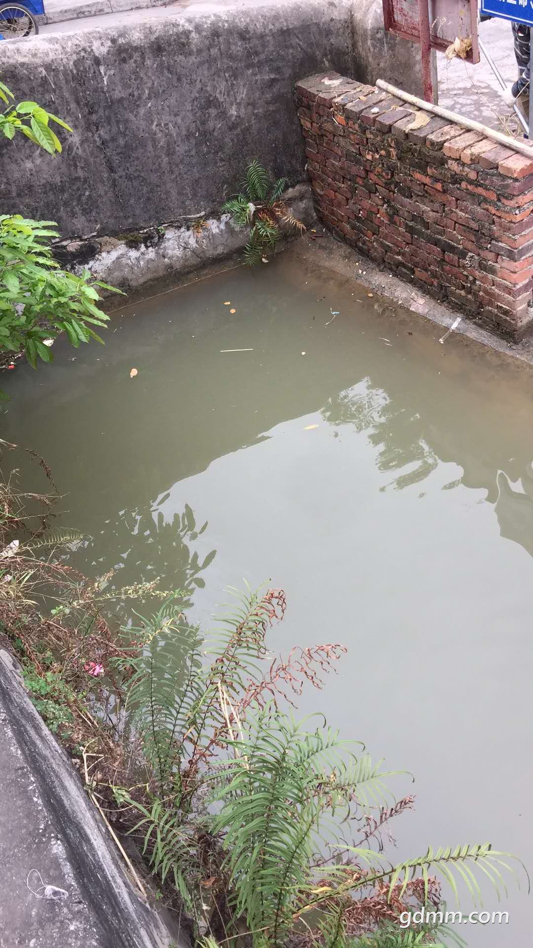�ӵ��������������