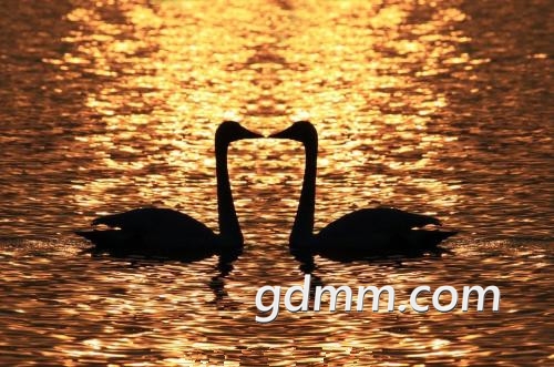 u=406910517,1808121088&amp;fm=27&amp;gp=0.jpg