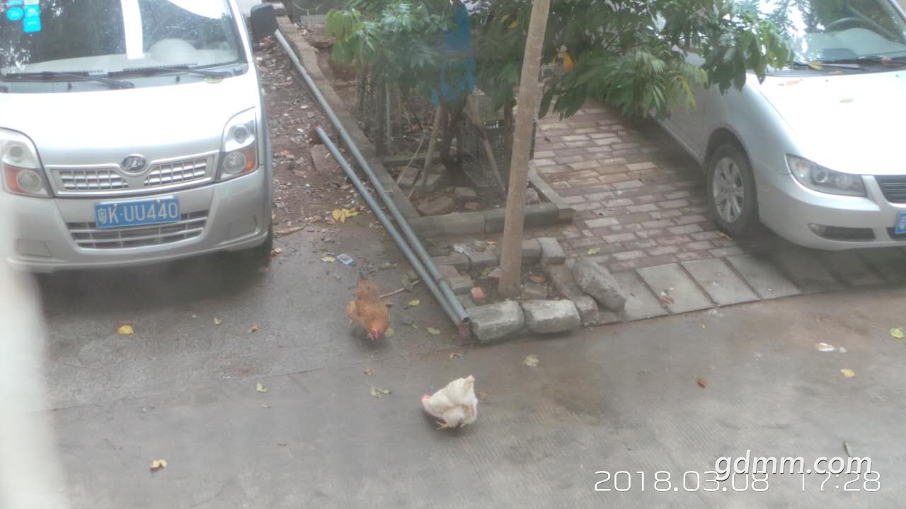 ΢��ͼƬ_20180308173530.jpg