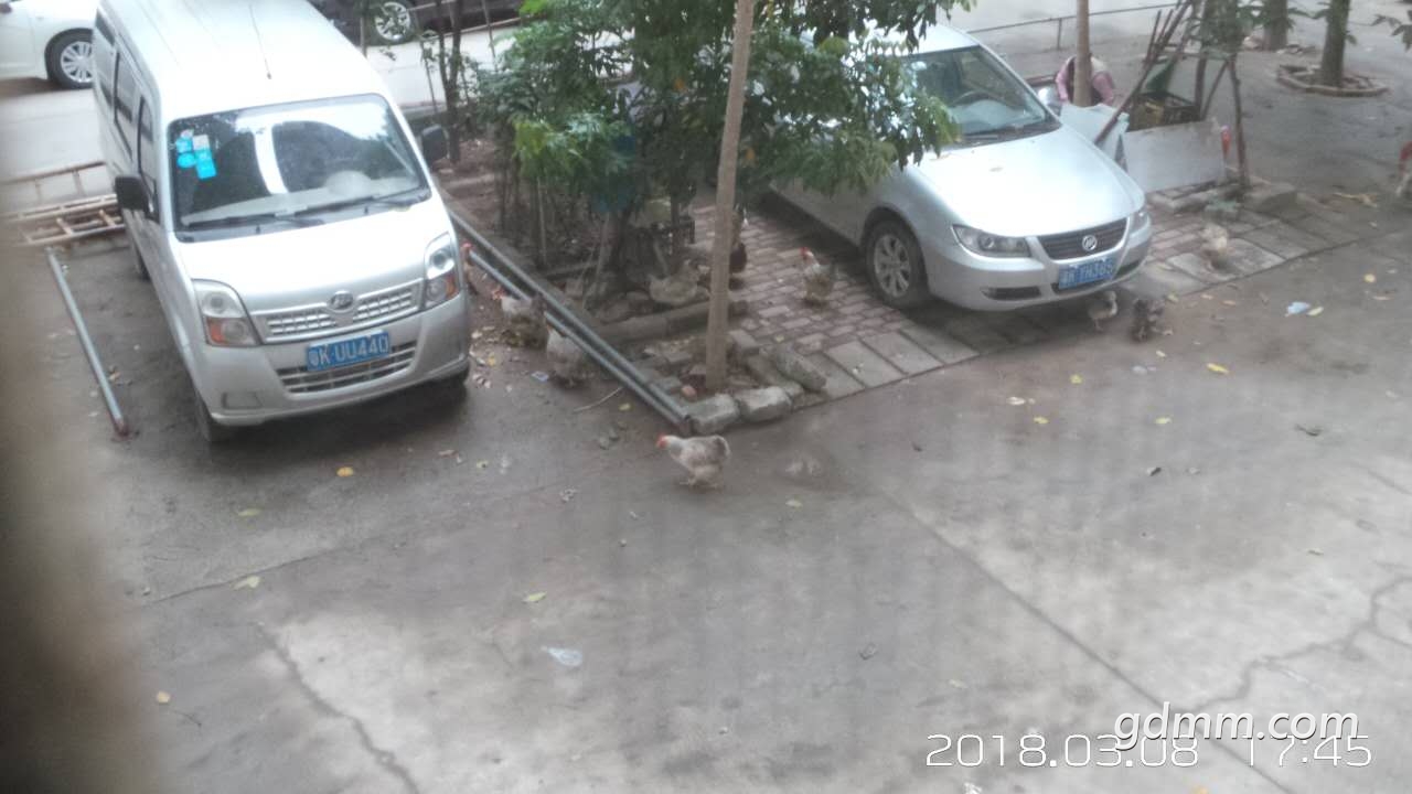 ΢��ͼƬ_20180308174851.jpg