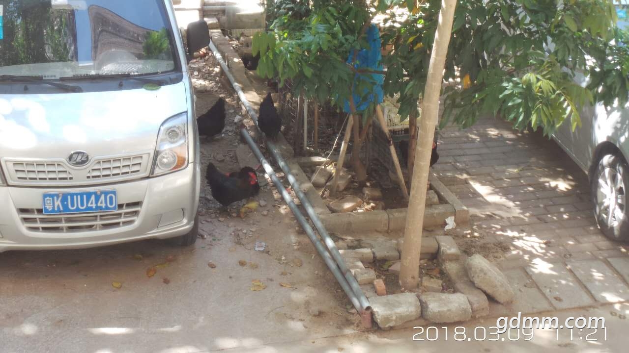 ΢��ͼƬ_20180309112414.jpg