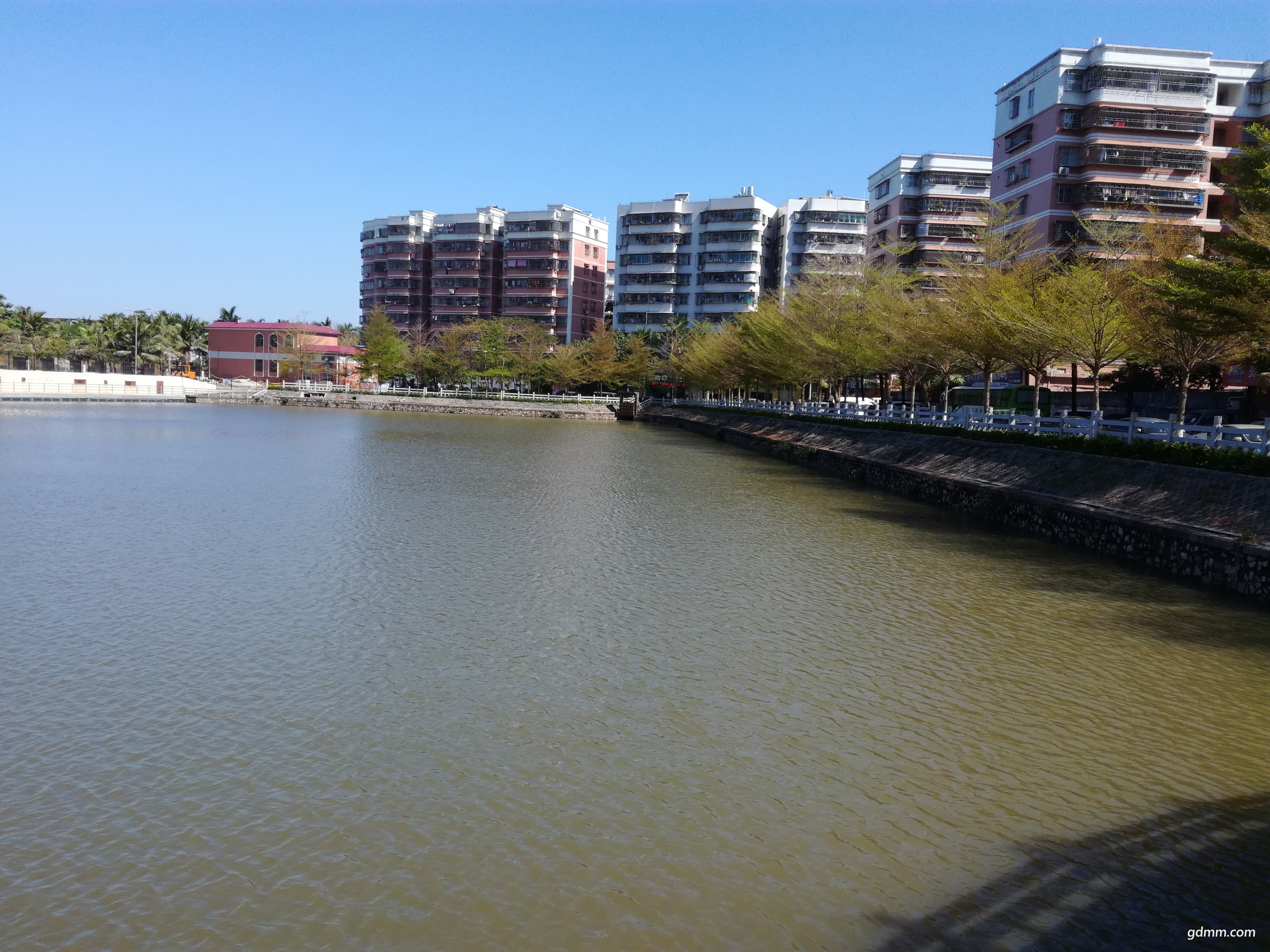 IMG_20180309_103717.jpg