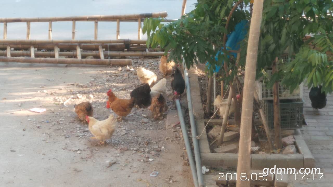 ΢��ͼƬ_20180310171959.jpg