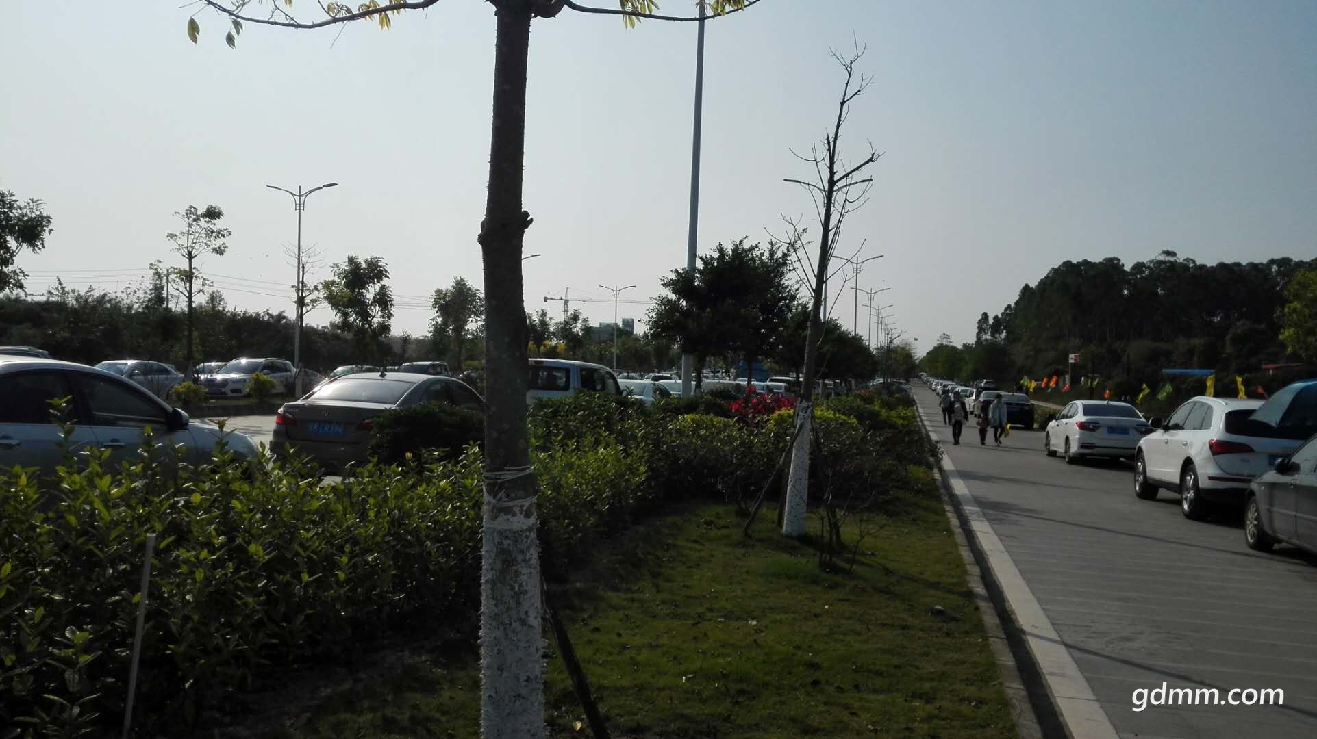 01.jpg