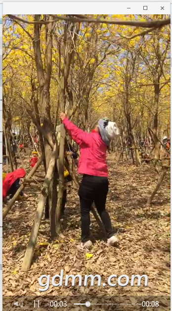 QQͼ20180311112111-01.png