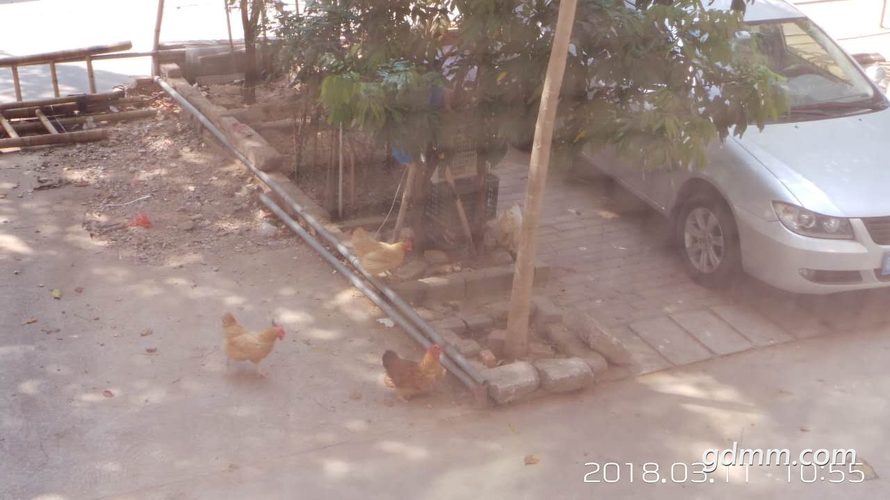 ΢��ͼƬ_20180311121937.jpg