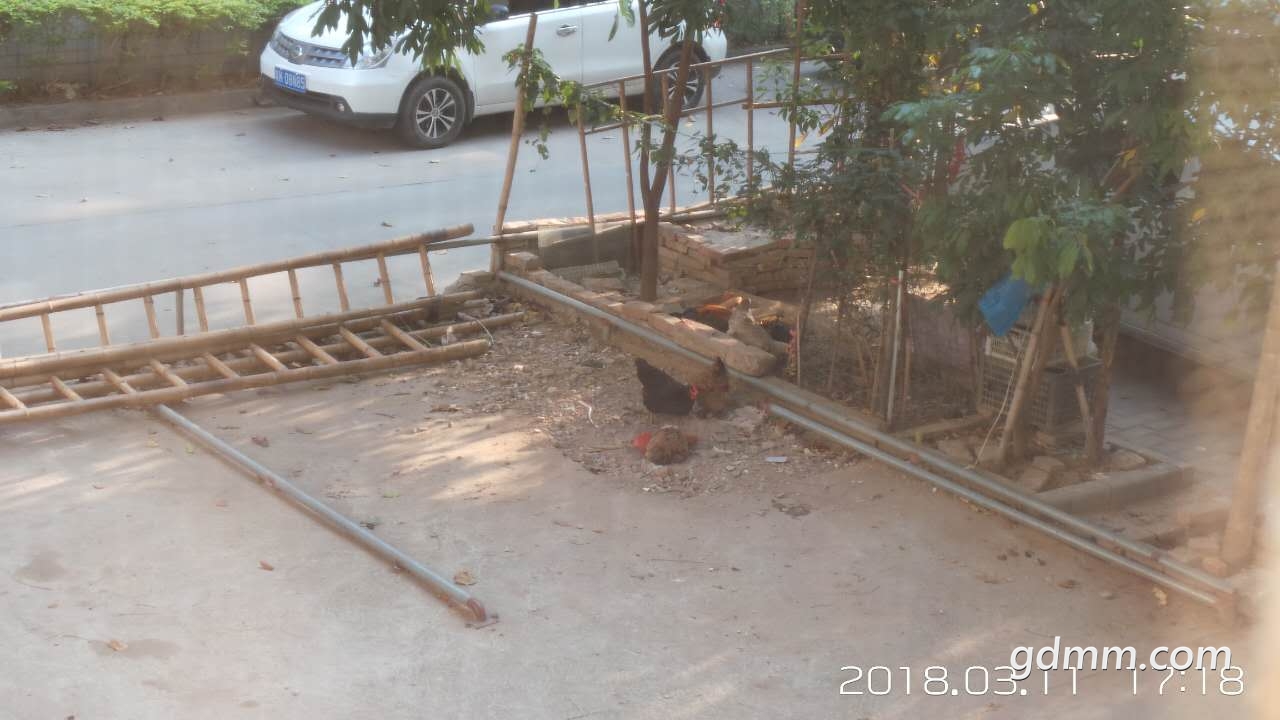 ΢��ͼƬ_20180311172229.jpg