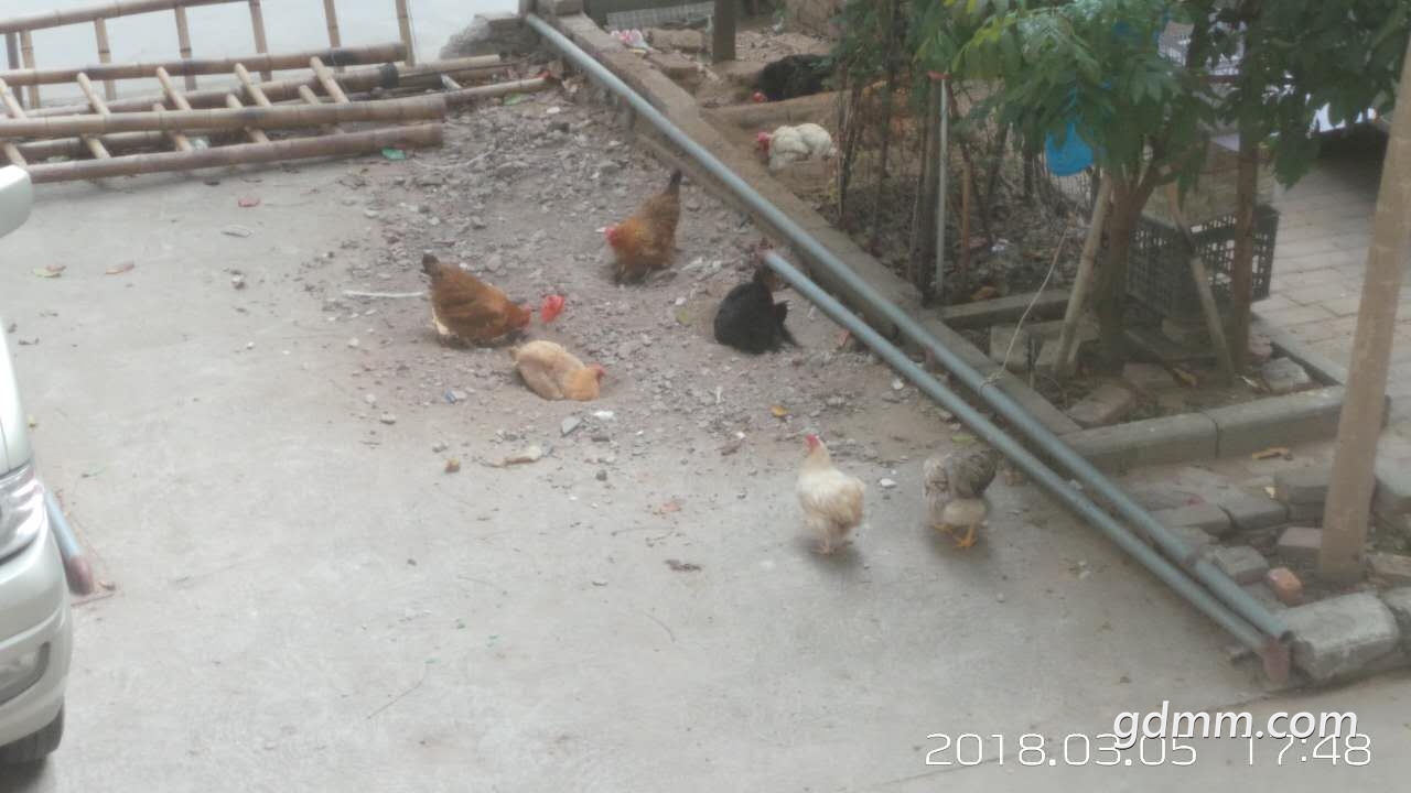 ΢ͼƬ_20180305185957.jpg