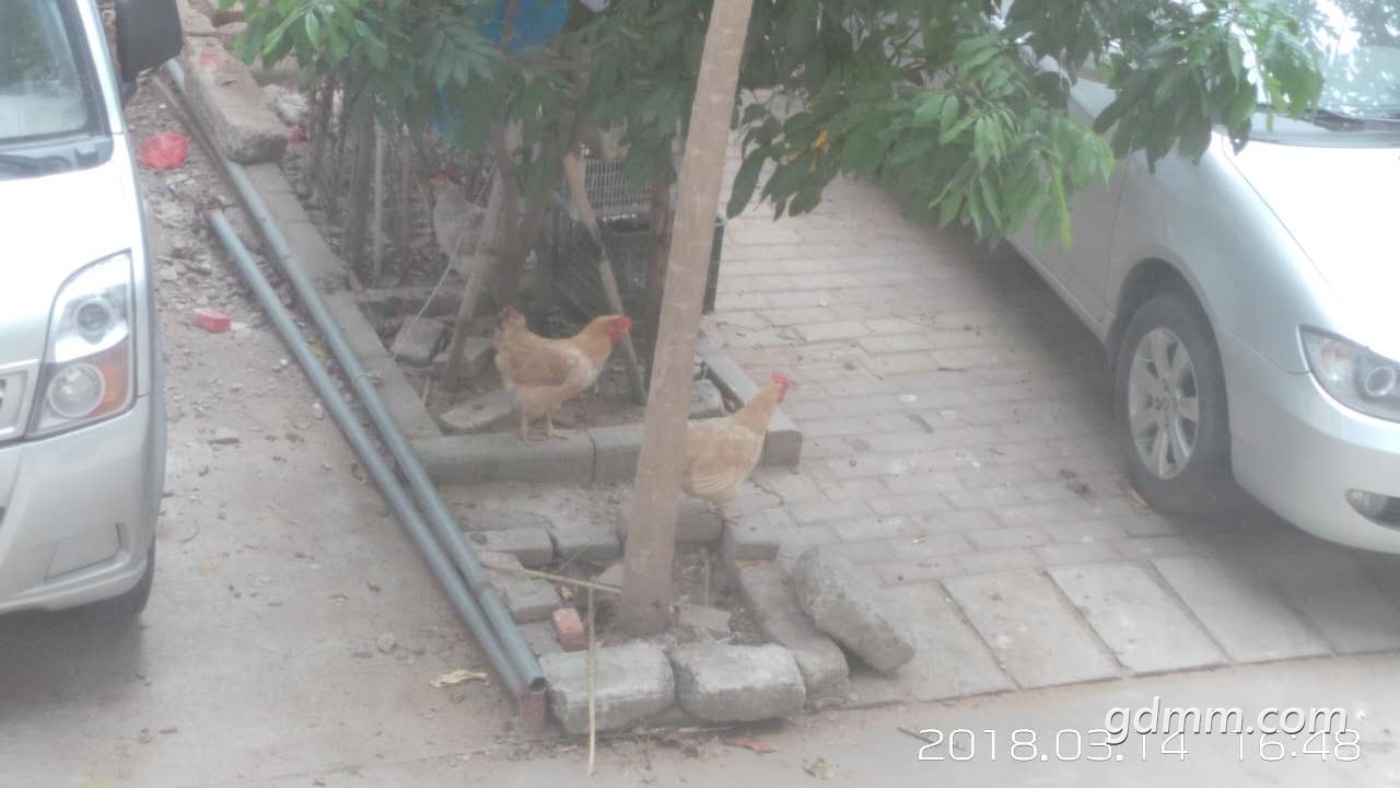 ΢ͼƬ_20180314170652.jpg