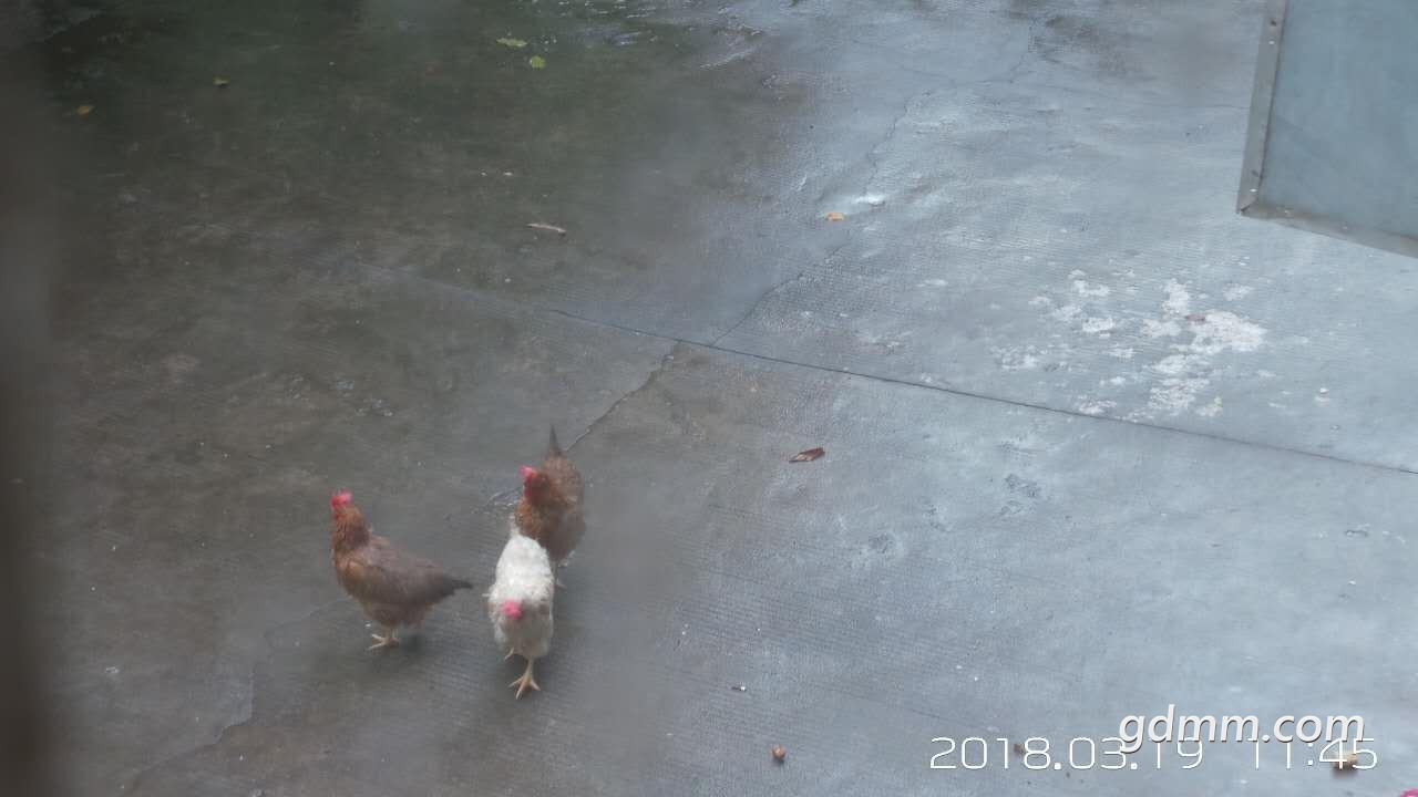 ΢��ͼƬ_20180319115208.jpg