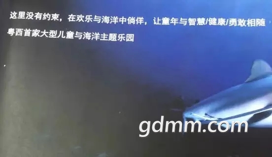 mmexport1521548374278_mh1521548515632.jpg