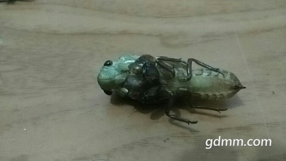 QQͼƬ20180325220129.jpg
