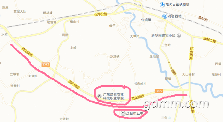 QQ2.png