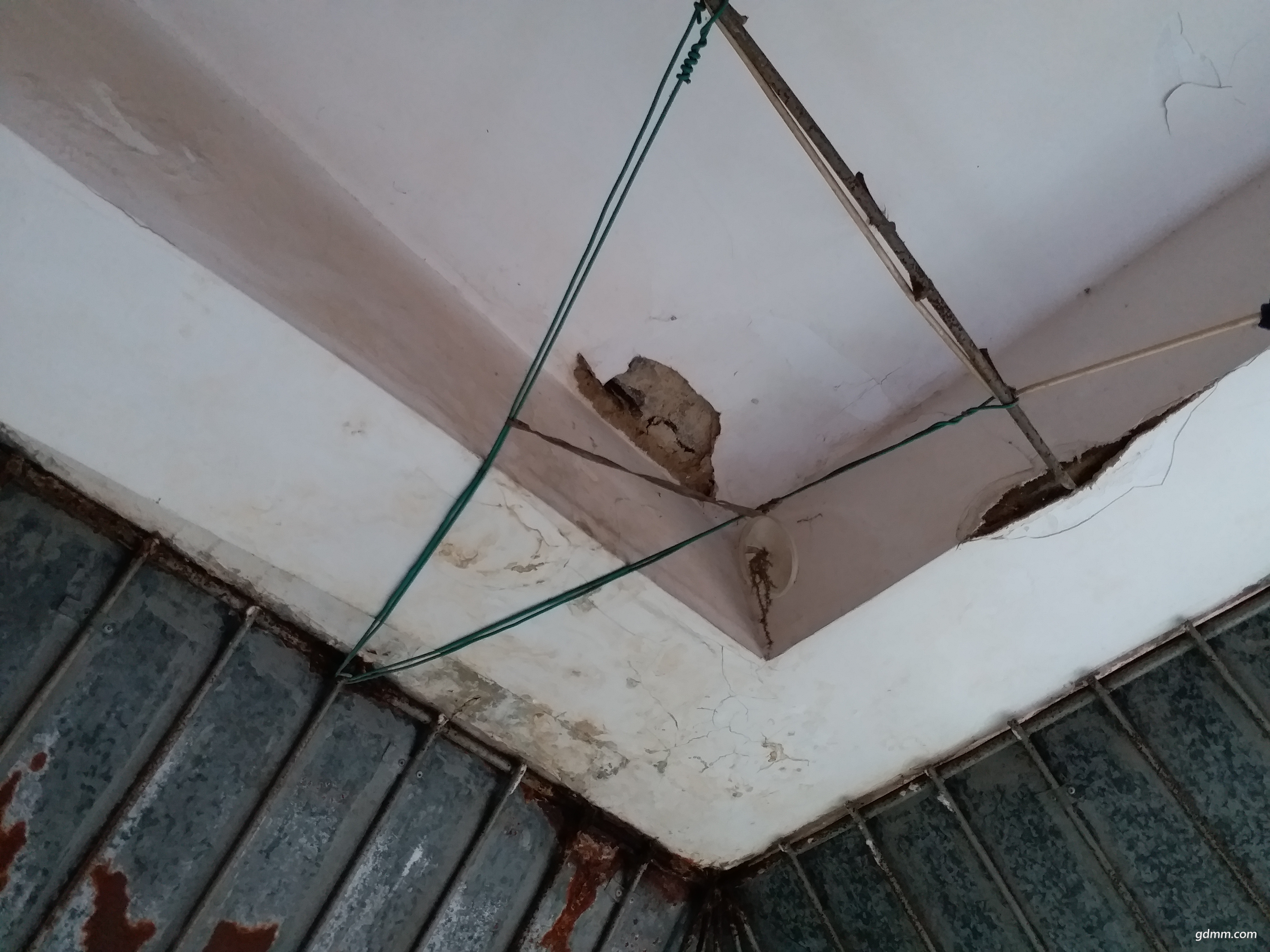20180423_101015.jpg