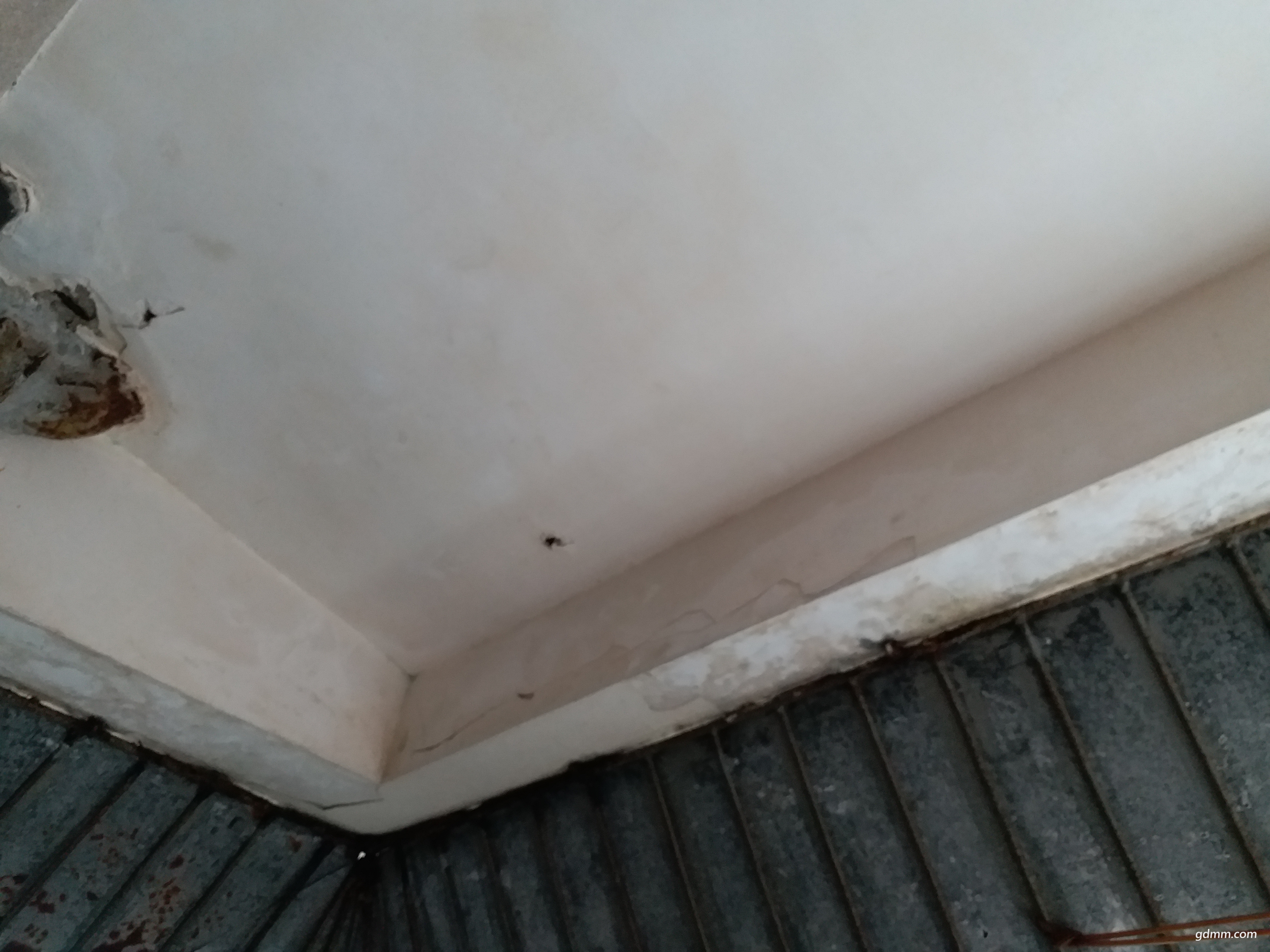 20180423_100947.jpg