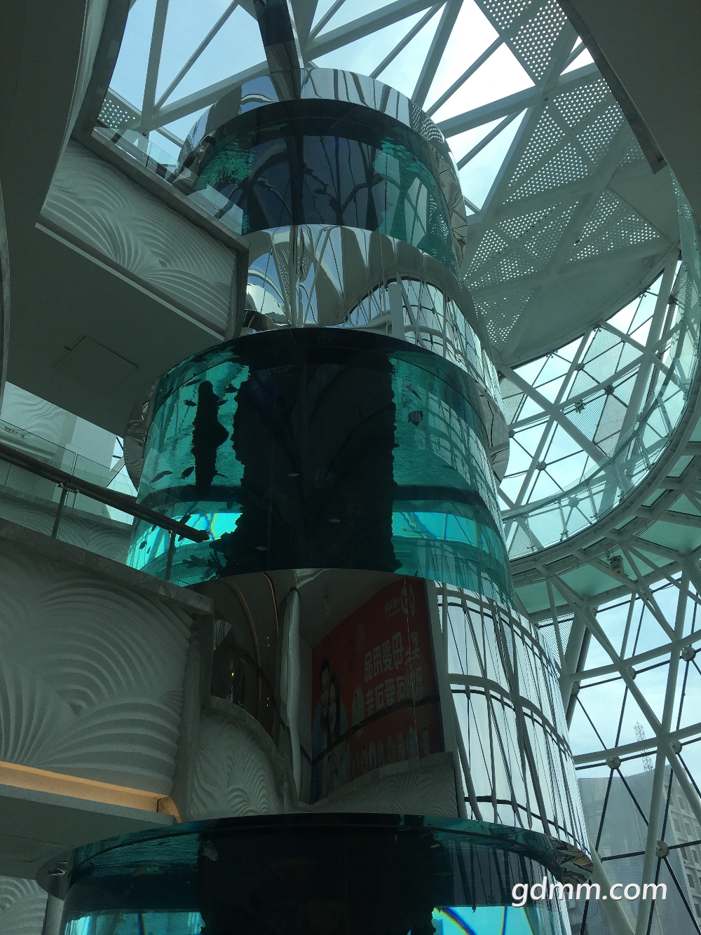 839B481D-CBCF-4B61-A24B-0FD10DF3BA0F.jpeg