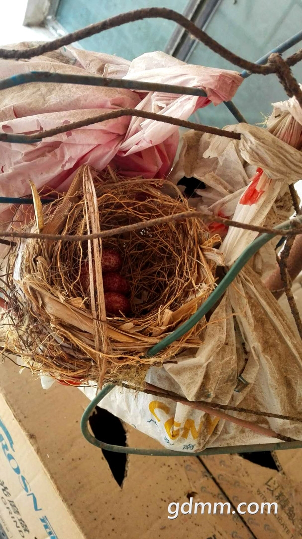 ΢ͼƬ_20180429204914.jpg
