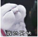 1525150711242_.jpg