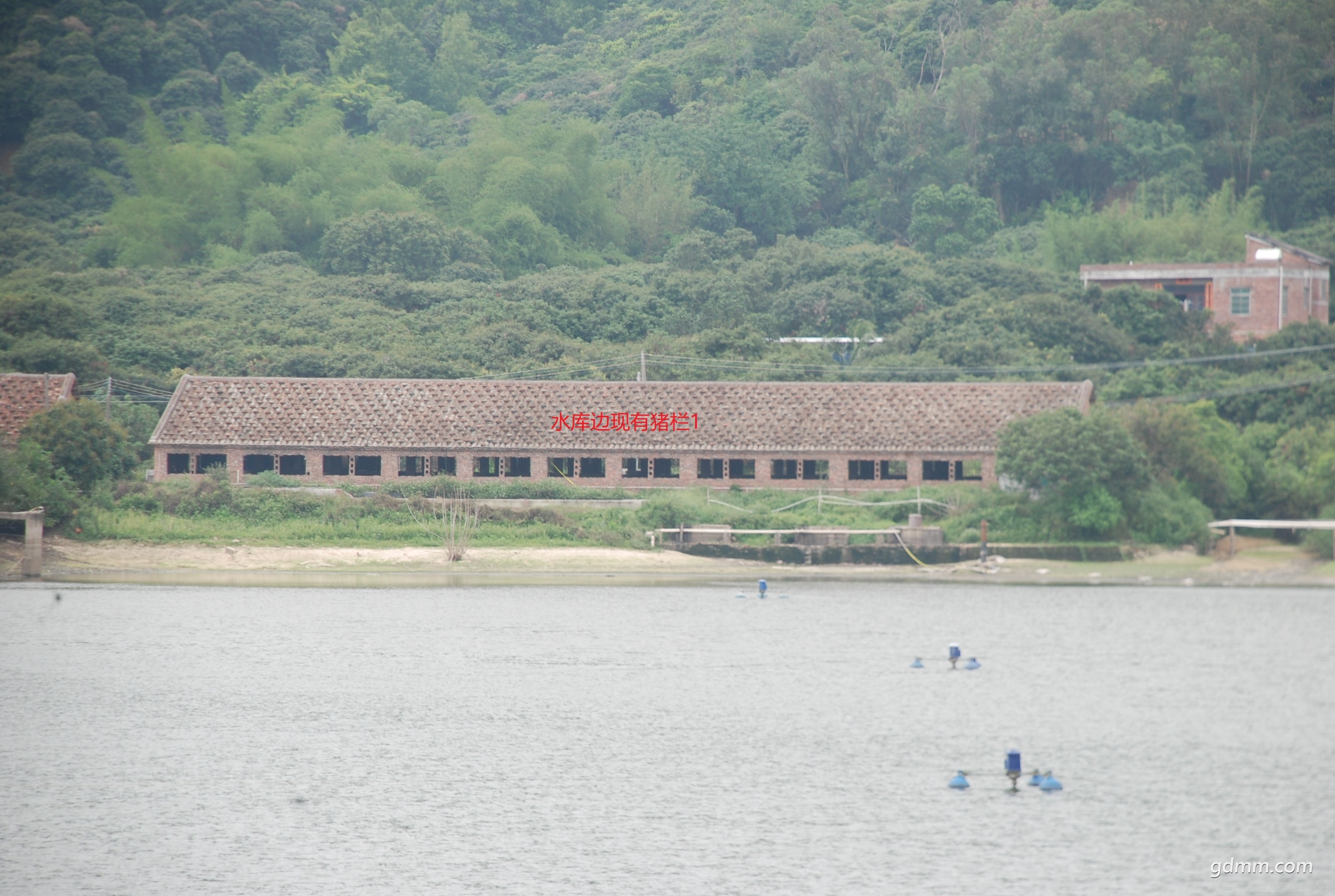 DSC_2233.jpg