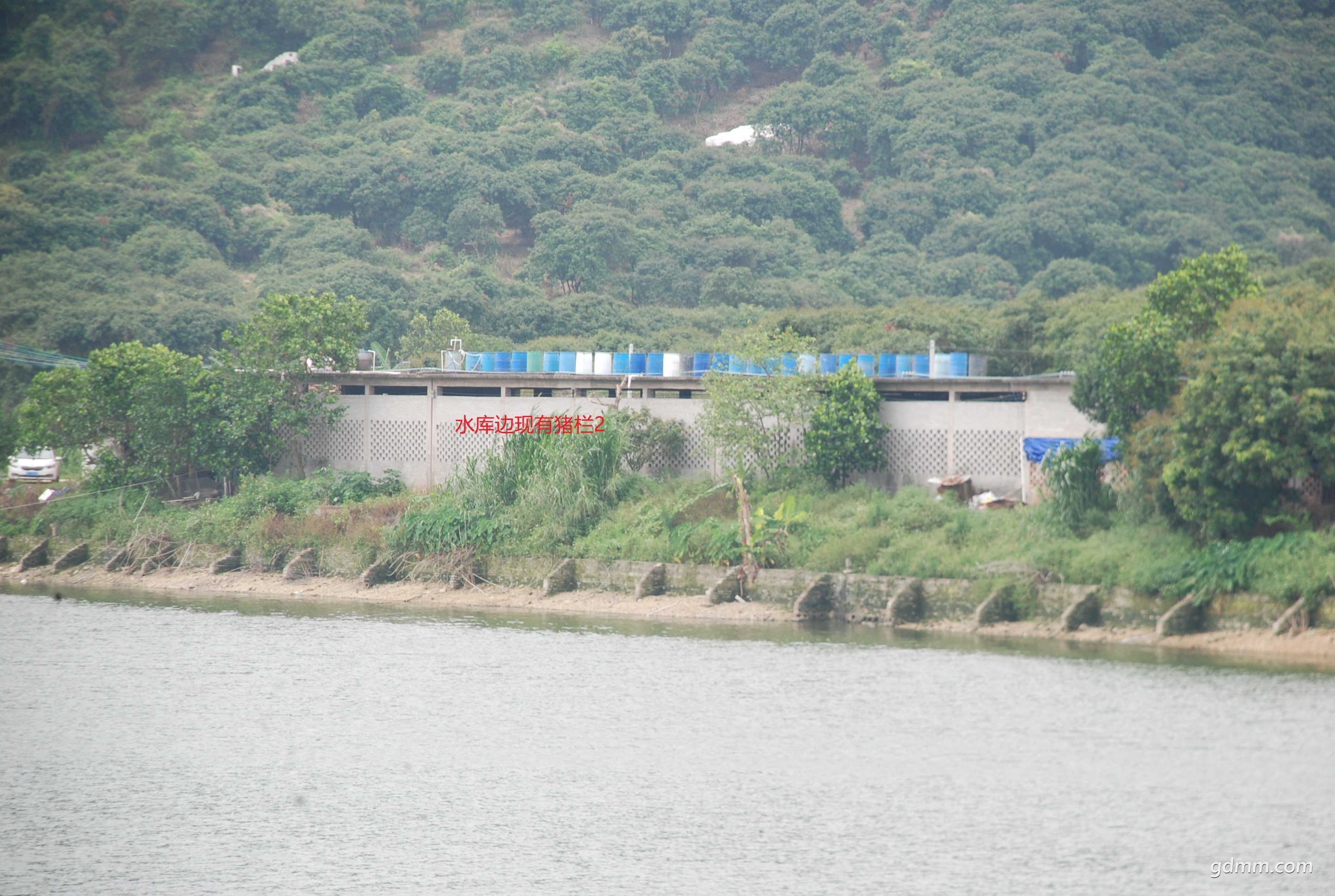 DSC_2235.jpg