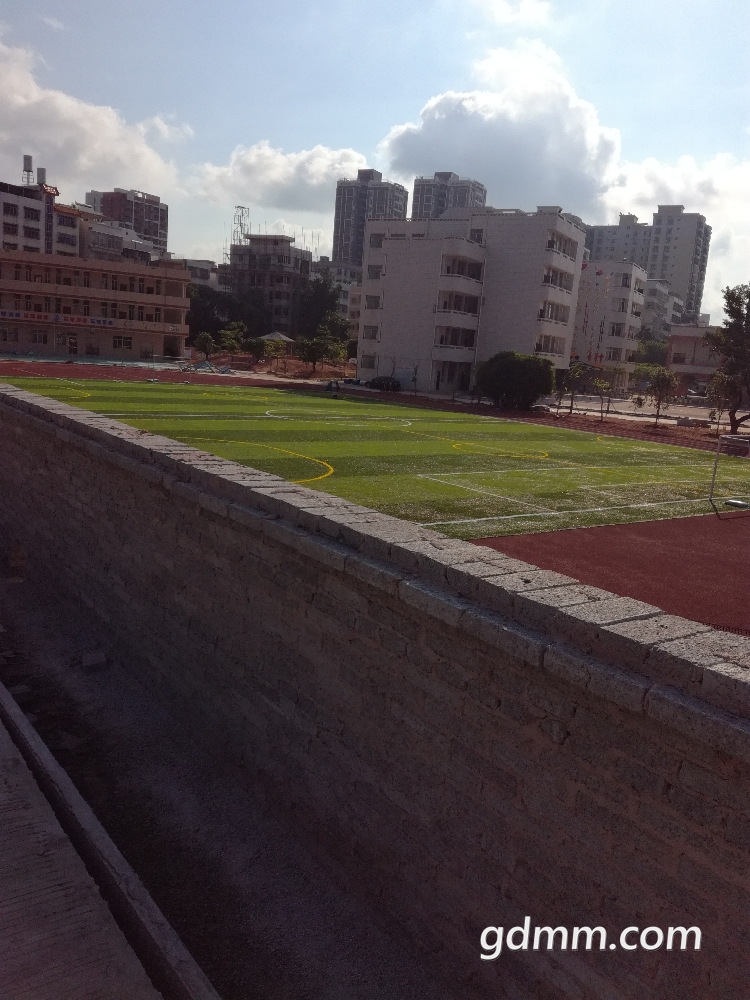 IMG_20180517_082036.jpg