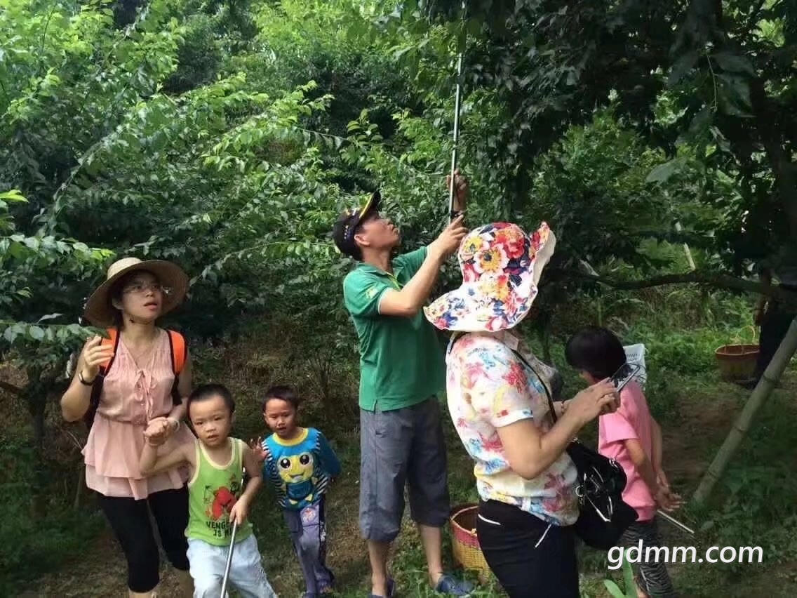 image.jpg