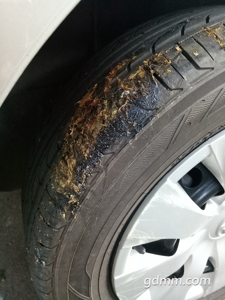 IMG20180521184517.jpg
