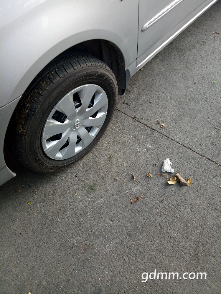 IMG20180521184507.jpg