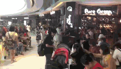 23224.gif