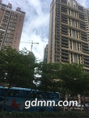4424CEE9-73BA-4B1D-8D3D-2FF205395464.jpeg