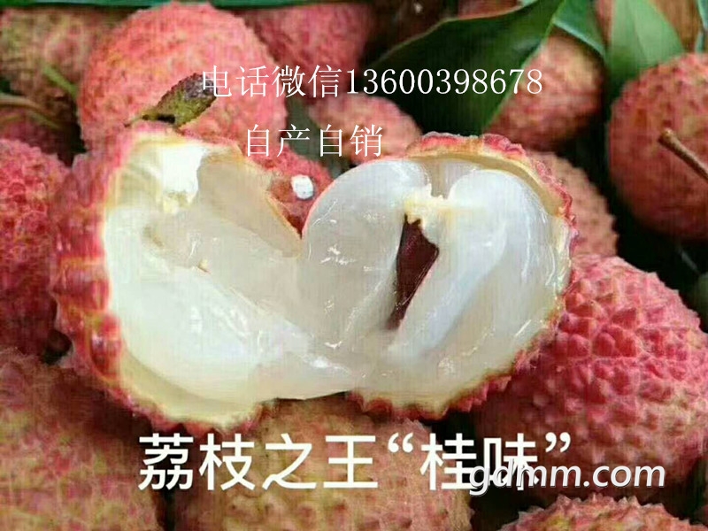΢ͼƬ_20180606092859__.jpg