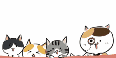 5.gif