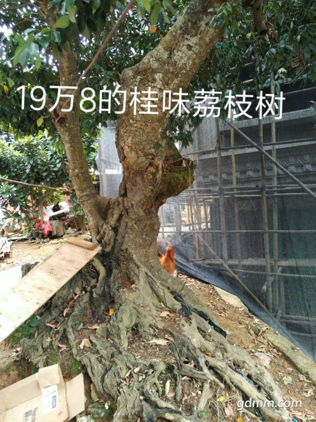 ΢ͼƬ_20180611102023.jpg