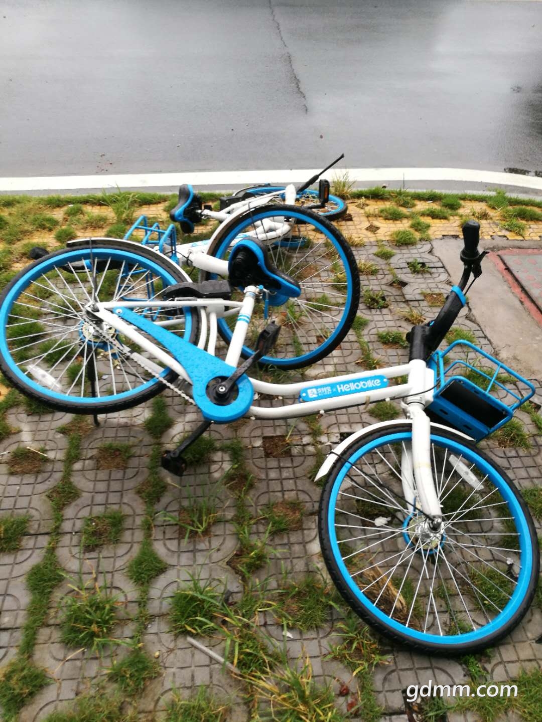 ΢��ͼƬ_20180611210740.jpg