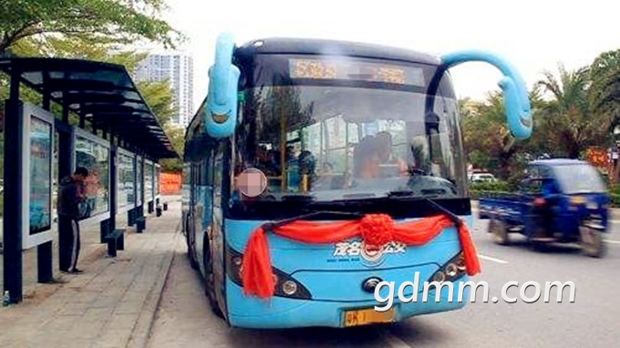 timg1_.jpg